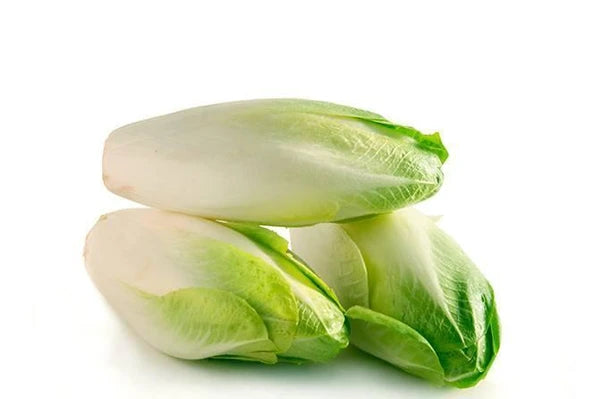 Organic Chicory Holland Kg