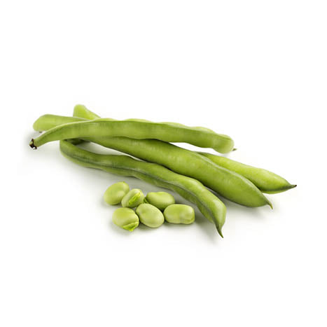 Organic Broad Beans Kg