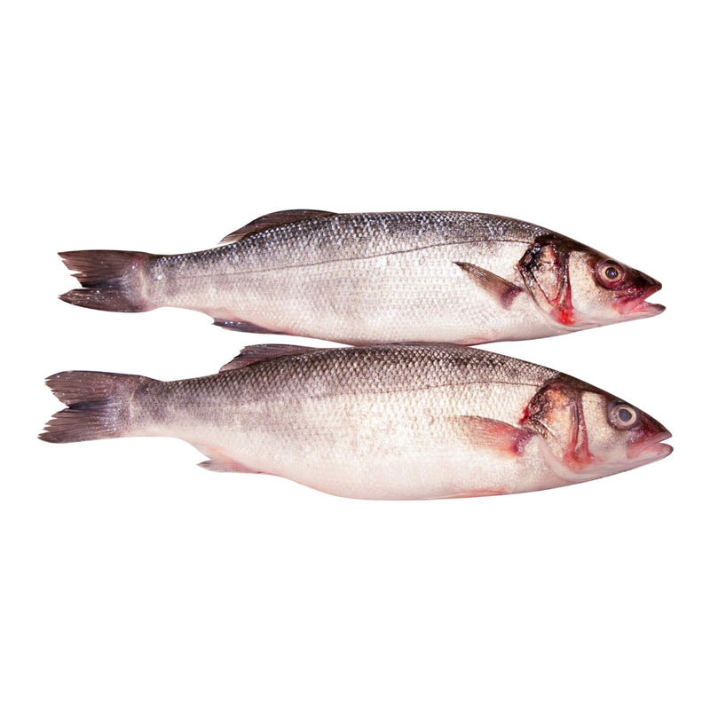 Organic Sea Bass 