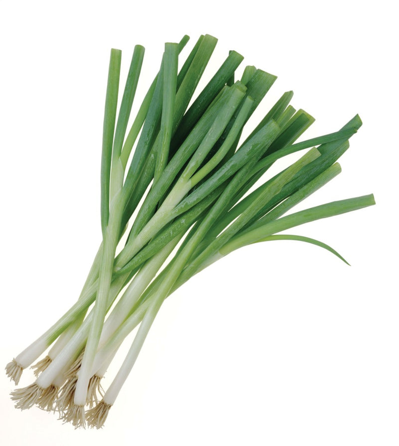 ORGANIC Spring Onion Uae 100g
