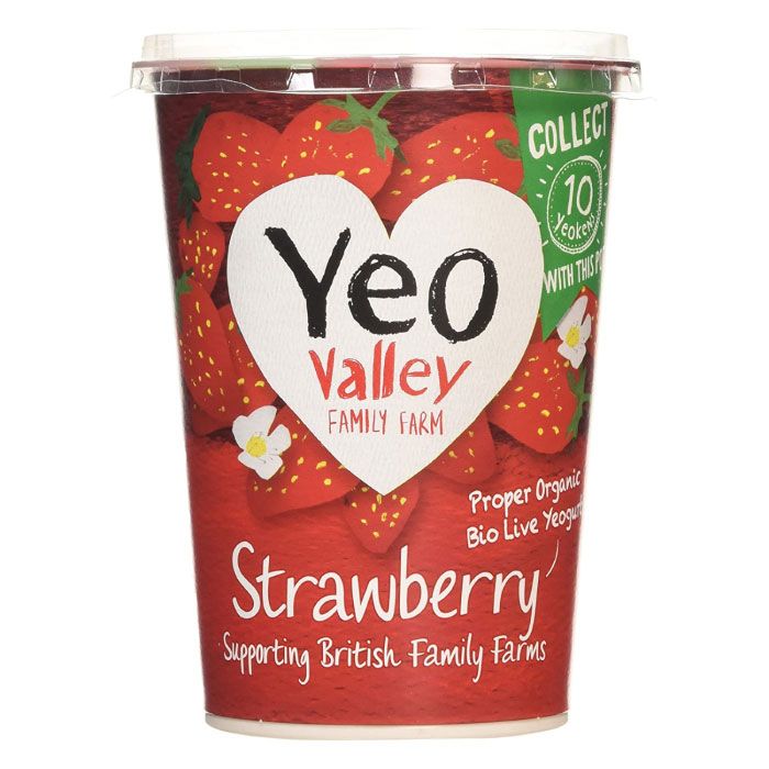 Organic Strawberry Yogurt 450g