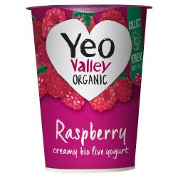 Organic Raspberry Yogurt 450g