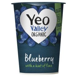 Organic Fat Free Blueberry Yoghurt 450g