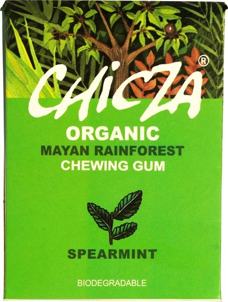Organic Spearmint Chewing Gum 30g