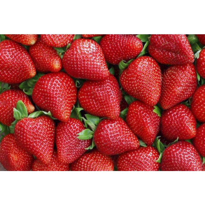 Organic Frozen Strawberry 2.5Kg