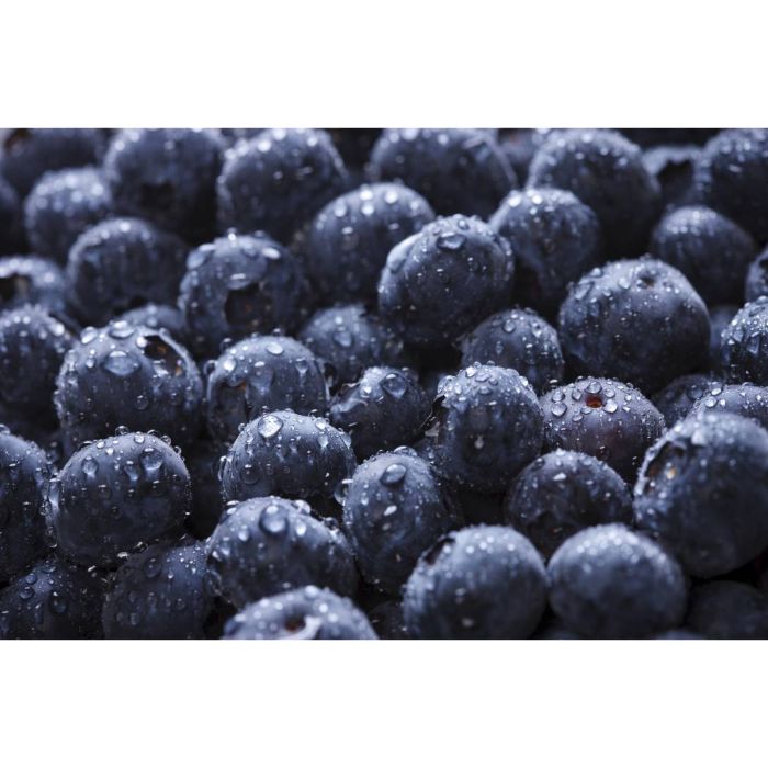Organic Frozen Blueberry 2.5Kg