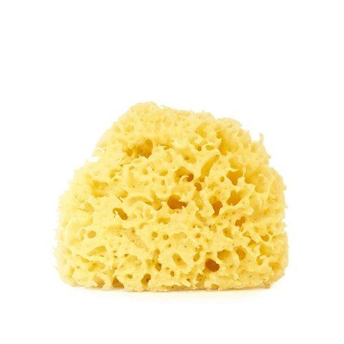 Natural Sea Sponge Large Size