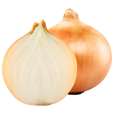 Organic Fresh Yellow Onion